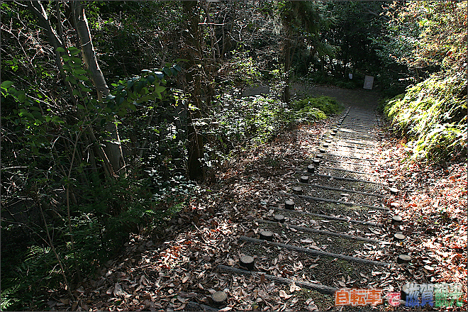 草津市ロクハ公園の山道と階段