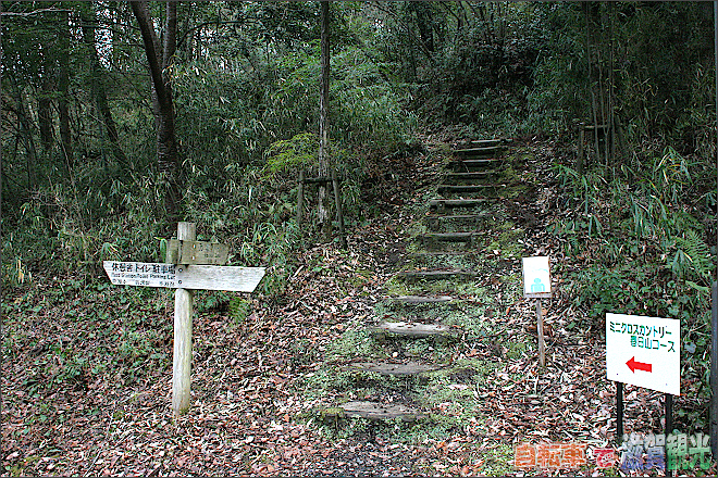 春日山公園の展望台への階段