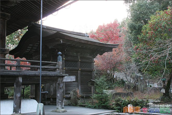 三井寺の閼伽井屋