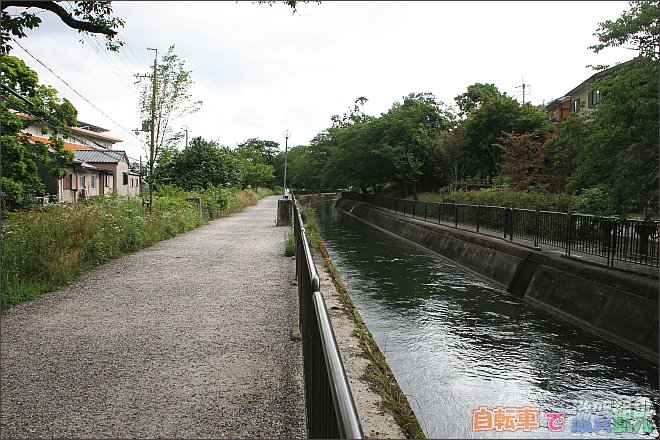 琵琶湖疏水のジョギングコース