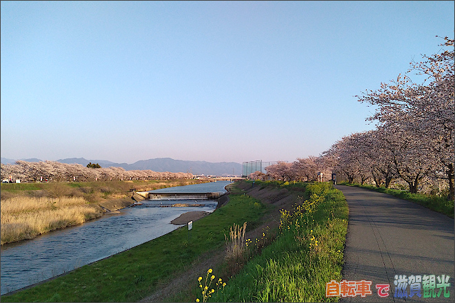 宇曽川サイクリングコースの歩行者自転車優先道路