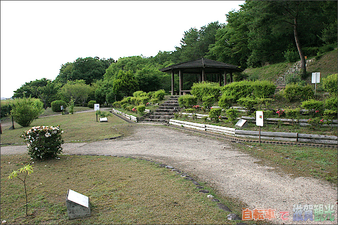 船岡山万葉の森の植物園