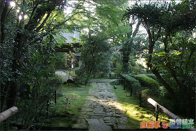 龍潭寺の庭