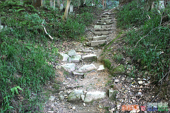 佐和山登山道の階段