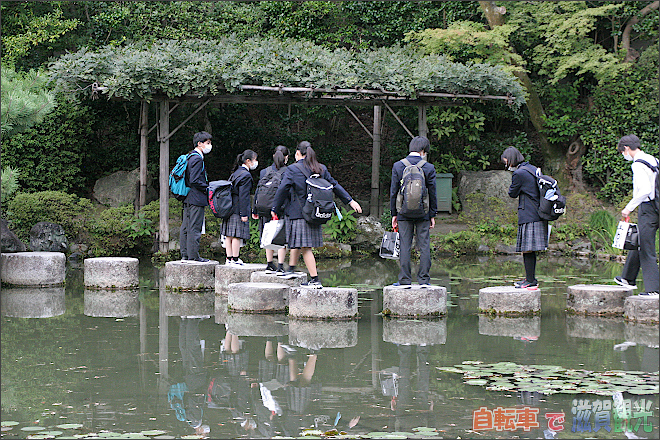 平安神宮の神苑の池で遊ぶ学生