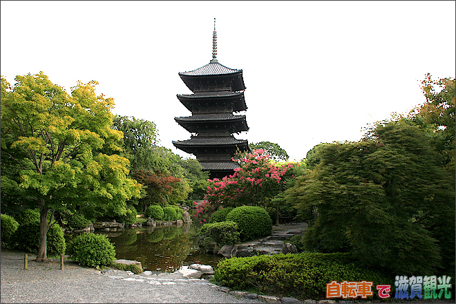 東寺の庭園
