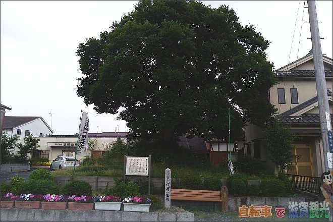 滋賀県で唯一現存している中山道今宿の一里塚