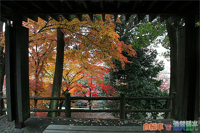 茶臼山公園の紅葉