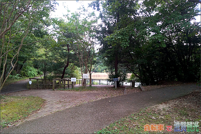 瀬田公園の池の周りの道