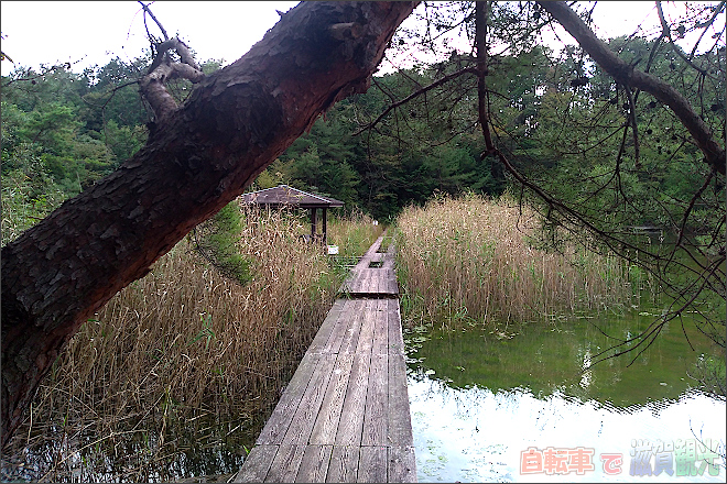 瀬田公園の池の桟橋