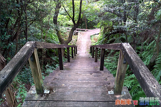 瀬田公園の階段