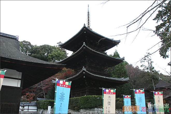 三井寺の三重塔