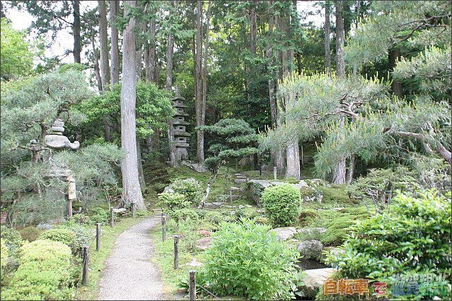 旧竹林院の庭園の小道