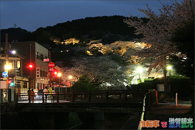 琵琶湖疎水とお寺のある山の桜