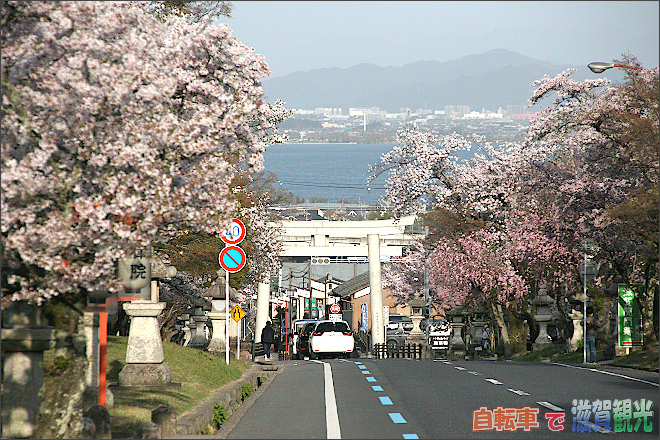坂本の鳥居と桜と琵琶湖