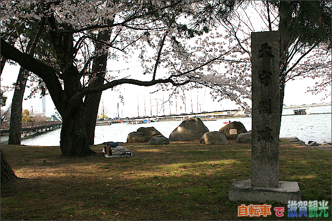 膳所城の天守閣跡と桜