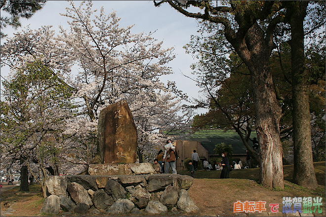 膳所城跡公園の碑と桜